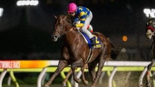 【東京盃】斉藤崇師「（次走は）しばらく空けて来年くらい」ドンフランキーが断然の支持に応える