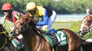 【京都大賞典展望】ジャパンCの前哨戦、速い上がりが要求されやすい