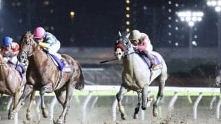 【東京盃】横山武「よく頑張った」レース後ジョッキーコメント