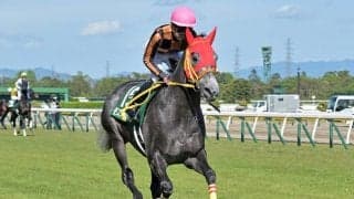 21年の小倉記念覇者モズナガレボシがサラブレッドオークションに出品