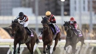 牝馬ダート戦線で活躍目覚ましい4歳世代 今回も上位独占なるか/大井・レディスプレリュード注目馬