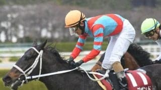 【京都大賞典出走馬・騎手確定】ディープボンド＆和田竜二騎手、ヒートオンビート＆川田将雅騎手など14頭