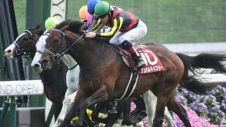 【毎日王冠出走馬・騎手確定】シュネルマイスター＆C.ルメール騎手、ソングライン＆戸崎圭太騎手など12頭