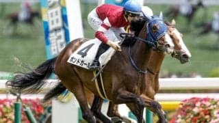 【サウジアラビアRC出走馬・騎手確定】ボンドガール＆川田将雅騎手、シュトラウス＆C.ルメール騎手など9頭