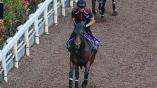 リバティアイランド、秋華賞1週前追い切り速報/栗東トレセンニュース