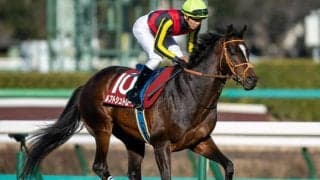 20年のニュージーランドT覇者ルフトシュトロームが抹消 今後は乗馬に