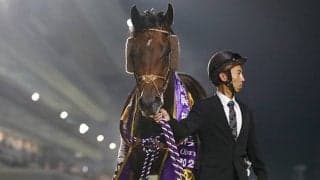 GI馬カフェファラオは南部杯で高松亮騎手とタッグ 岩手リーディング2位の名手と連覇目指す