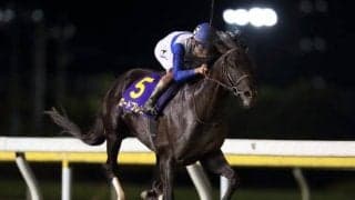 20年日本テレビ盃覇者ロードブレスが抹消 今後は地方競馬に移籍予定