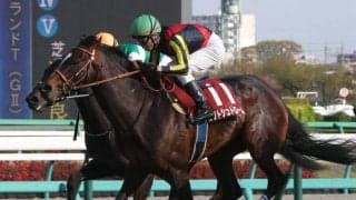 ルフトシュトロームが競走馬登録抹消