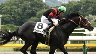 ブリックスアンドモルタル産駒が重賞初挑戦 サウジアラビアRCに2頭が登録