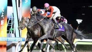 【レディスプレリュード】武豊騎乗、アーテルアストレアが鮮やかな差し切り