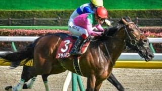ディープ産駒は京都大賞典で過去5勝 今年は2頭が参戦へ