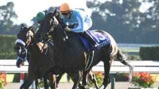 デアリングタクトが電撃引退 無敗で牝馬三冠達成…体部繋靱帯炎再発で復帰叶わず