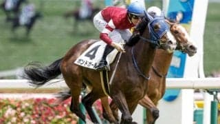 【サウジアラビアRC枠順確定】ボンドガールは3枠3番、シュトラウスは1枠1番