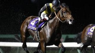 【盛岡・南部杯枠順】連覇を狙うカフェファラオは2枠2番、フェブラリーS覇者レモンポップは3枠3番