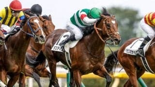 【菊花賞想定馬・騎手】タスティエーラ、ソールオリエンスなど18頭