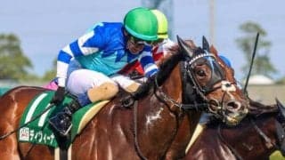 【府中牝馬S想定馬・騎手】ディヴィーナ、プレサージュリフトなど13頭