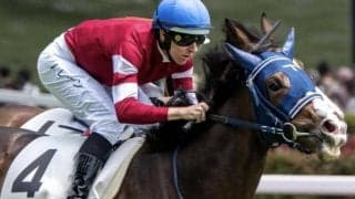 朝日杯FSに直結するサウジアラビアRC 今年も素質馬がズラリ