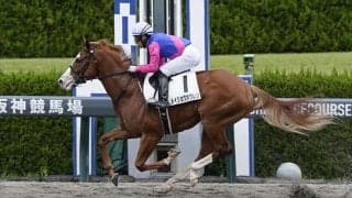 【新馬/阪神3R】エスポワールシチー産駒 メイショウホウレンが5馬身差圧勝