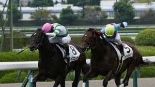 【新馬/阪神5R】アルアイン産駒 カズゴルティスがデビューV