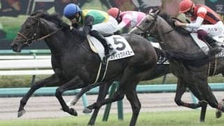 【新馬/中山5R】ルーラーシップ産駒 スティックバイミーがデビューV