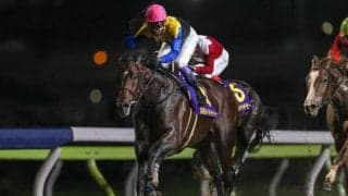 武豊騎手 今週の騎乗馬…南部杯に参戦