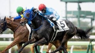 前走は超スローの流れを押し上げて3着 長岡京Sで惜敗続きにピリオドだ