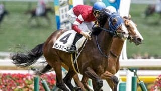 【サウジアラビアRC予想】出世レースとして名高い2歳重賞 今年も素質馬集結