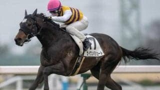 【土曜東京8R予想】前走は不利大 セイウンパシュートが巻き返す