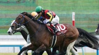毎日王冠で期待は衰え知らずの５歳馬と、イクイノックスに似た血統構成を持つ１頭