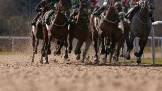 【MCS南部杯／3連単24点勝負】レモンポップ不動の本命も、“中央勢GI馬2頭”をバッサリ