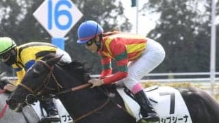 【京都5R新馬戦結果】エピファネイア産駒のプシプシーナがデビューV！