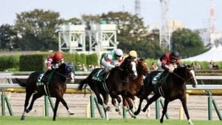 【サウジアラビアRC】松山「レースが上手な馬」ゴンバデカーブースがデビュー2連勝