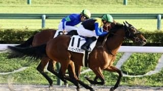 【東京12R】ルメールが5勝の固め打ち！ハッピーアズラリーで抜け出す