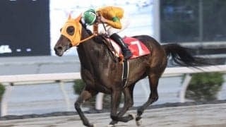 【高知・ミラク特別】ジョウショーリードが3馬身差完勝…岡村「徹底マークで良い位置取れた」