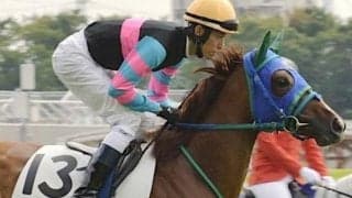 【日曜東京6R予想】前走は負けて強し レディアスが決める