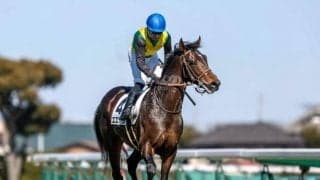 【毎日王冠予想】強い1番人気馬も勝つには条件がある？ 毎日王冠は例年パターンで上位絞り