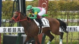 【京都3R新馬戦結果】マジェスティックウォリアー産駒のタガノミストが逃げ切りV！