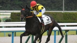 【京都5R新馬戦結果】パレスマリス産駒のジャンタルマンタルが好位から抜け出して圧勝！