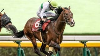 【JRA・WIN5】本日のWIN5は的中1794票、配当23万3070円