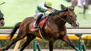 【毎日王冠結果】エルトンバローズがGI馬2頭撃破の大金星！ 4連勝で重賞連覇