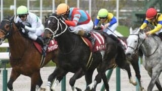 【京都大賞典前日オッズ】ディープボンドが3.7倍で1番人気