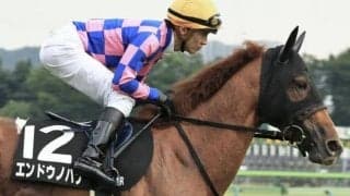 月曜東京は雨予報 六社Sは道悪巧者で好配狙い