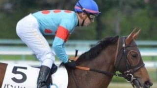 【月曜京都12R予想】母はジャパンC覇者 良血馬がダート替わりで一変するか