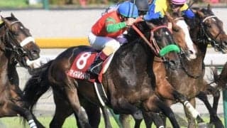 京都芝は馬場読み難解…道悪が残ればマイネルウィルトスの一発！