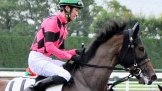 【月曜京都6R予想】前走が好時計圧勝のスマートケープ 昇級不問で連勝だ