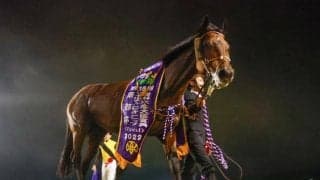 GI/JpnI馬が4頭出走 豪華メンバーで争われる秋のダートマイル王決定戦/盛岡・南部杯