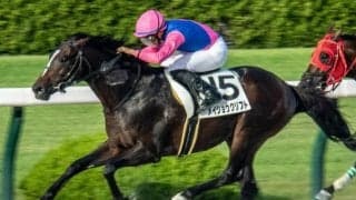 ダートならまだまだ底見せず 大山崎Sで連勝狙うメイショウクリフト