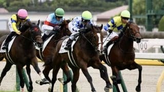 【新馬/東京5R】シャンパンカラー半弟、シャンパンマークがデビュー戦快勝