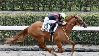 【新馬/東京4R】マジェスティックウォリアー産駒 モアザンワンスが鮮やかに逃げ切る